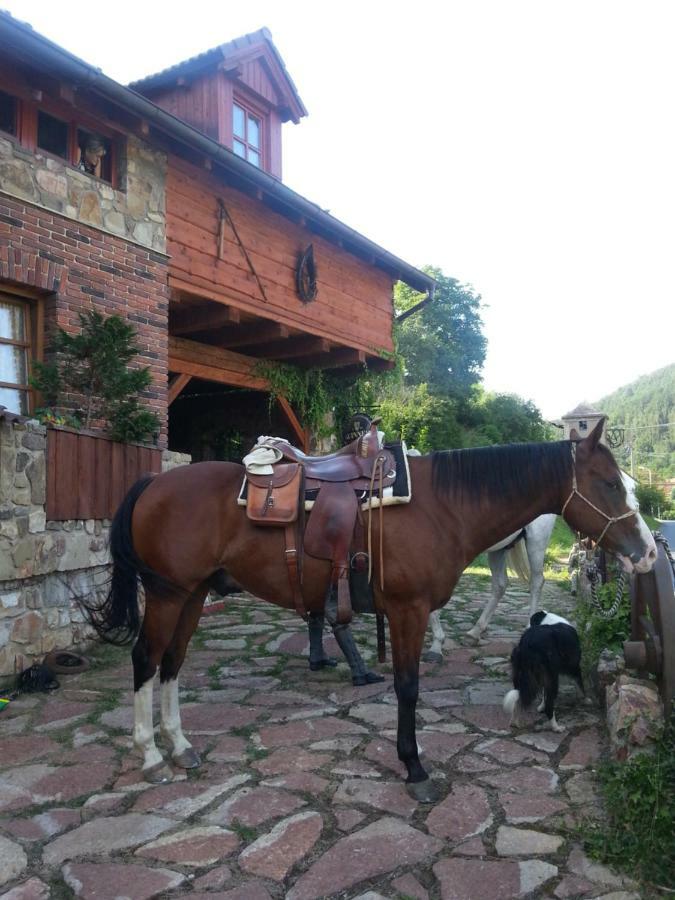 Ubytovani Steak-Hredle Otel Dış mekan fotoğraf